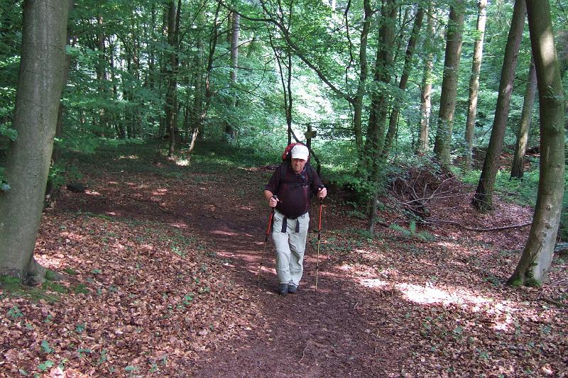 3-2-04 Wald bei Tawern.JPG